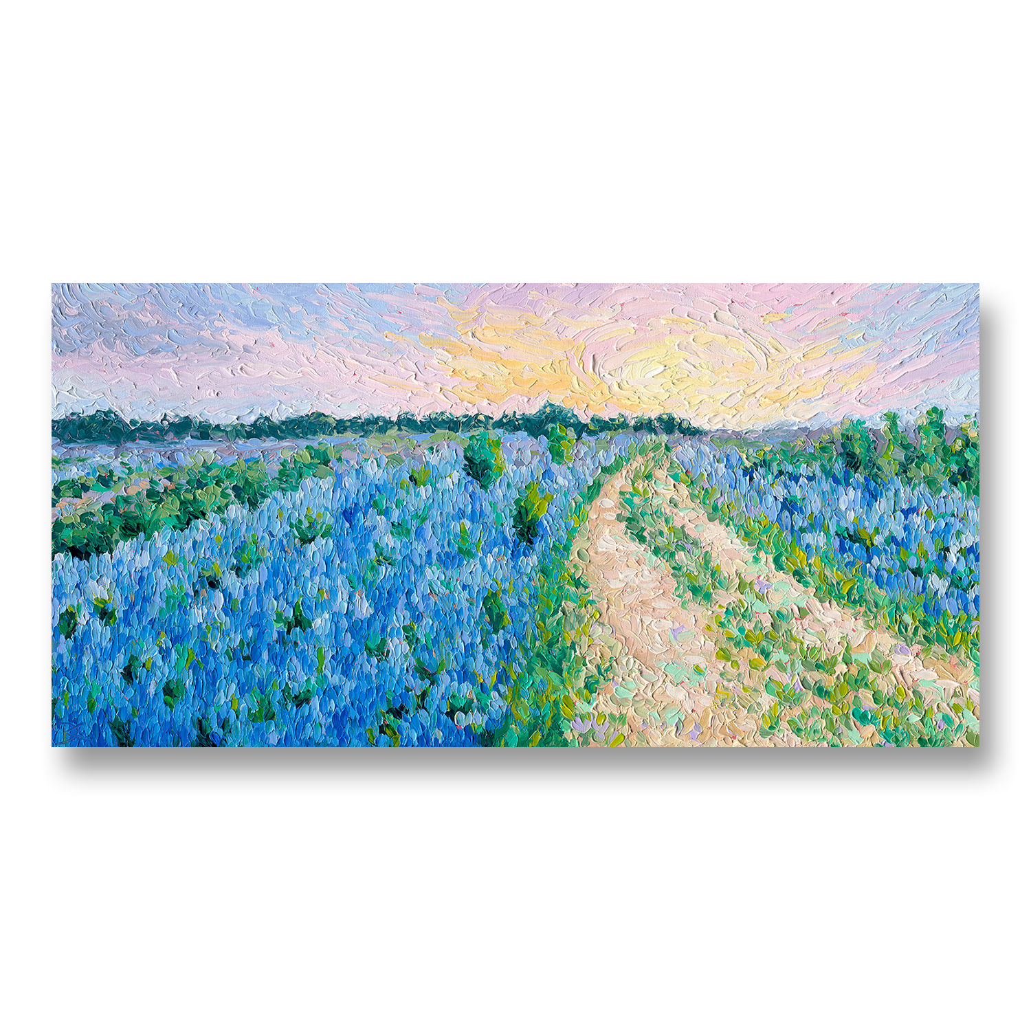 Bluebonnet Fields | 18 x 36"