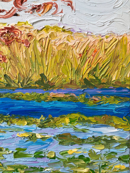 Everglades Wonder | 16 x 20"