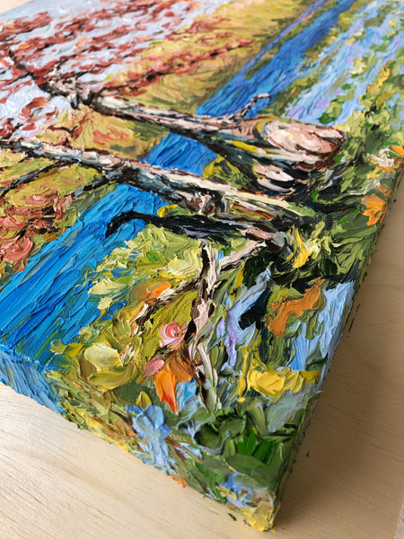 Everglades Wonder | 16 x 20"