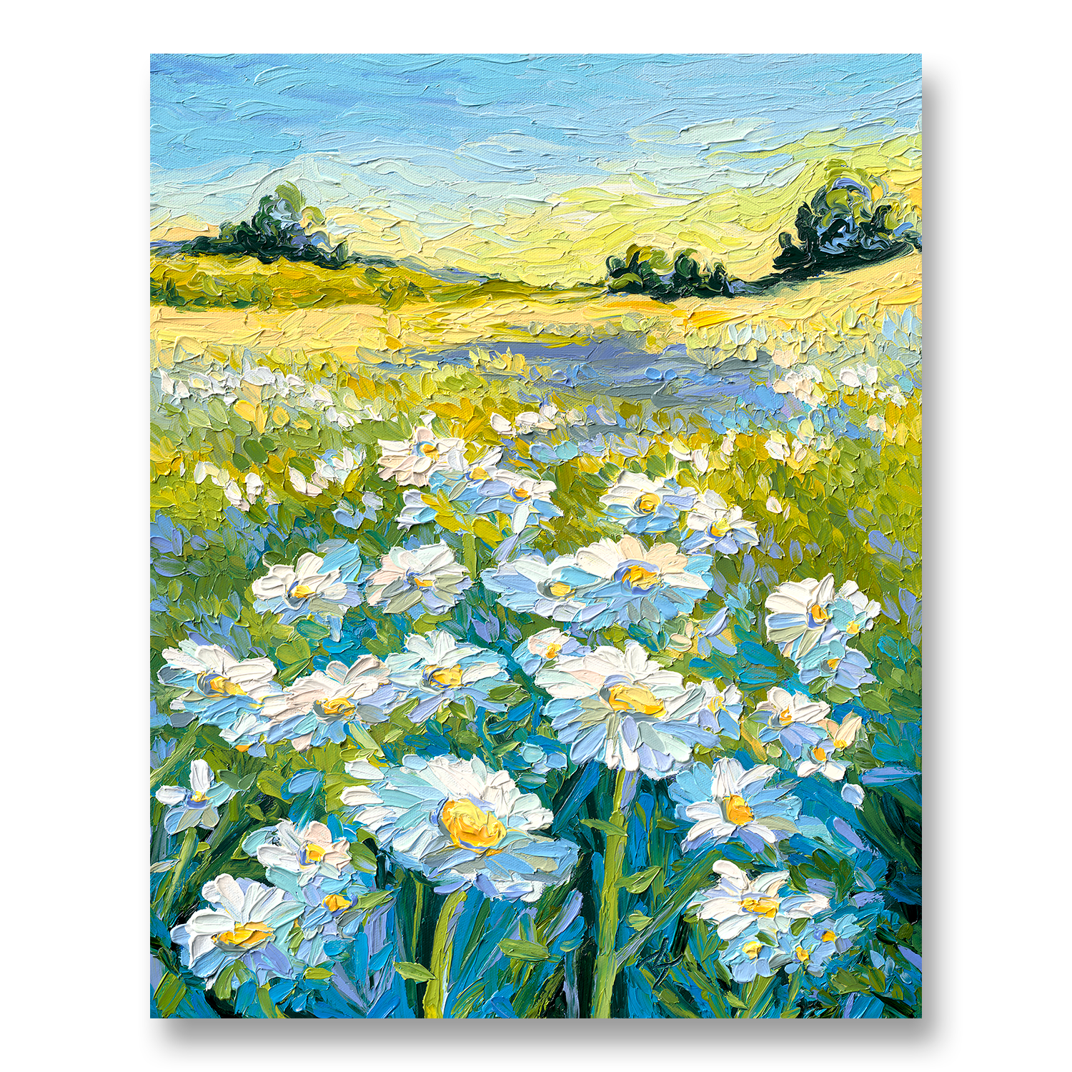 Summer Fields | Canvas Print